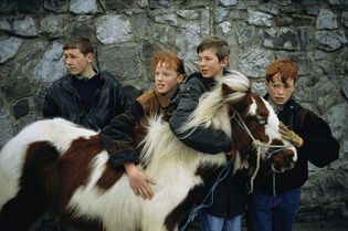 ireland_redheads-23.jpeg