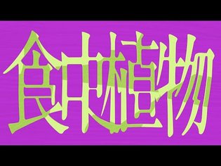 理芽 - 食虫植物 / RIM - Carnivorous Plant (Official Music Video) #08