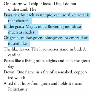 ∆ from Hymn to Life by James Schuyler