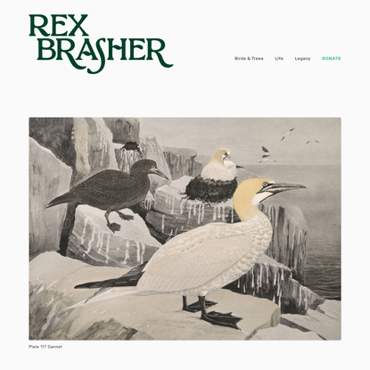 Rex Brasher Work