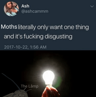 758.png
