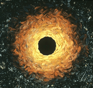 Cave-to-Canvas-Andy-Goldsworthy-Rowan-Leaves-Around-A-Hole-1987.jpeg