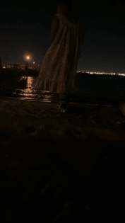 img_3955.png