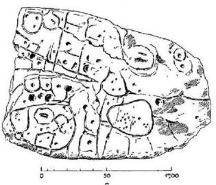 Saint-Bélec slab, Early Bronze Age Mind Map