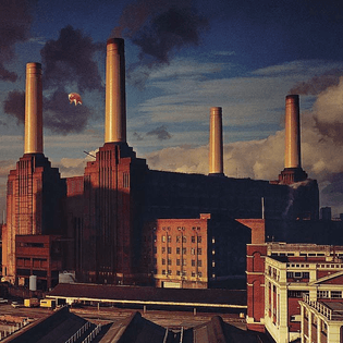 Why Pink Floyd Needed Three Tries to Shoot the ‘Animals’ Cover