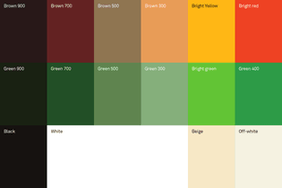 gabe_ferreira-palette-color_scheme.png