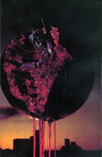 000-2323.jpg
