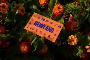newland-2-bc9e4.webp