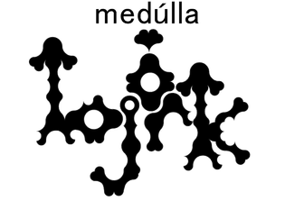 bjo-rk_-medu-lla_logo.png