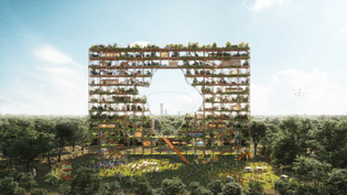mvrdv_van-gogh-homeland_01.jpg