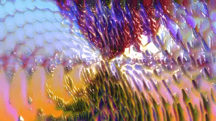 5b914acf7fa44c5091000001.png