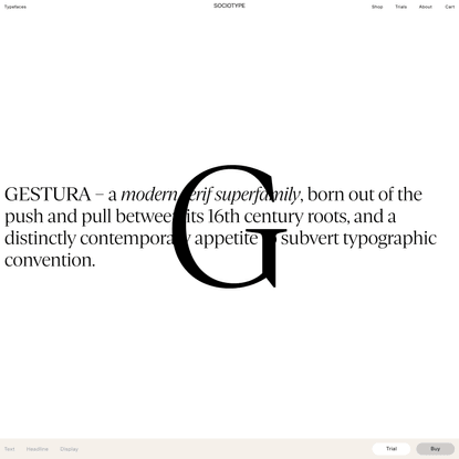 Gestura - Sociotype