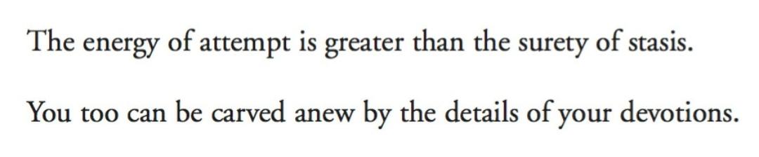 ∆ Mary Oliver, Long Life: Essays and Other Writings