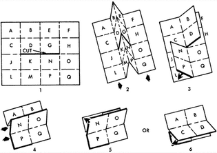 Falk fold map