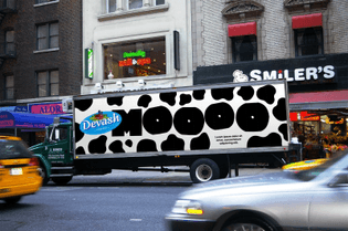 MOOOOOO!
