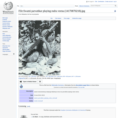 File:Swami parvatikar playing rudra veena (14170870218).jpg - Wikipedia