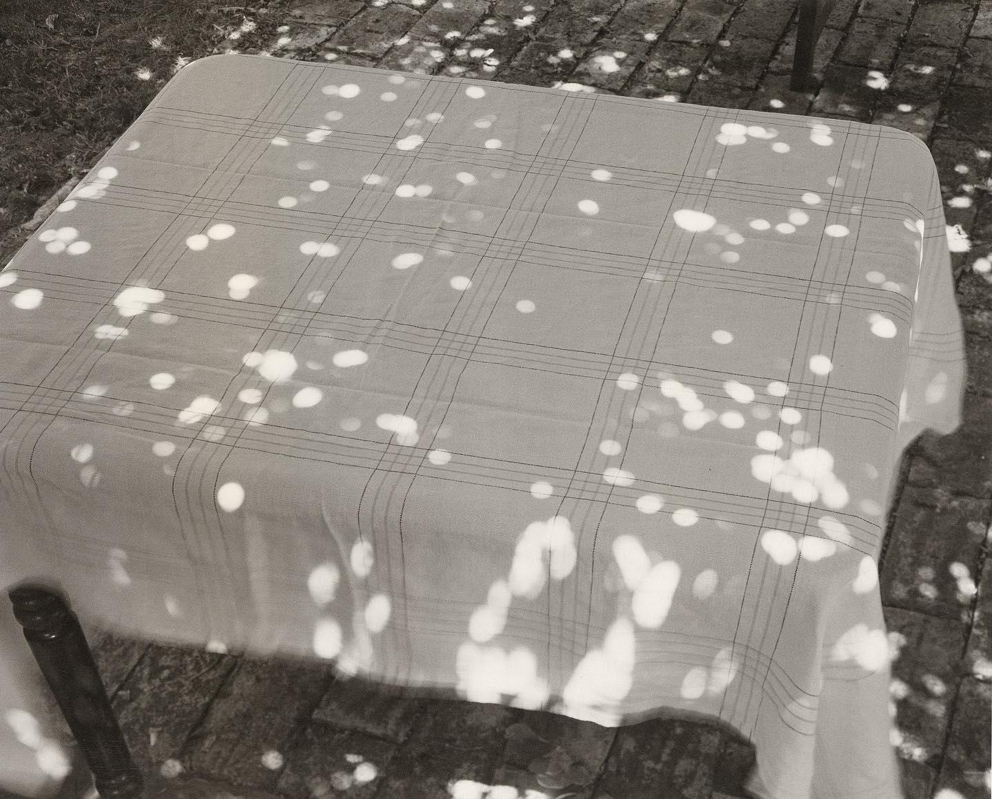 Sunspots on Covered Table, Italy, 2000 by Abelardo Morell. Backside of #42234