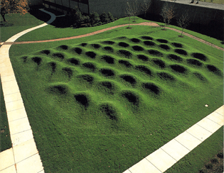 Maya Lin - Wave Field (1995)