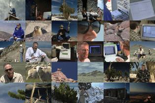 whitemountain-contactsheet.jpg