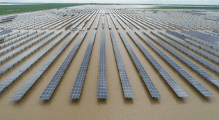 Solar farm meets Tulare Lake.