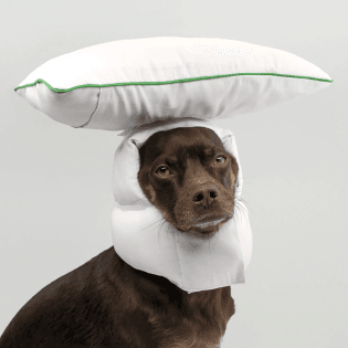 rajeev-basu-between-two-naps-fashion-itsnicethat-3.jpg