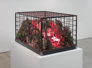Each of the artists in “Technologies of the Self”—Max Hooper Schneider, Tetsumi Kudo, Lucas Samaras, and Paul Thek—has been principally occupied with the idea of containment, often placing the self, or symbols of the self, within a container—an aquarium, a cage, a box, or a reliquary. Effectively creating a portrait of the self, the container serves for these artists as a technology for gathering, sorting, managing, and processing information on the self. What also becomes evident throughout the practices of these four artists is that the container inevitably becomes a vessel for, if not a representation of, transformation.