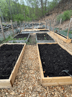 Project wood chip big dig continues 