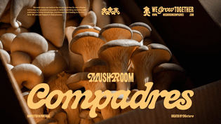 Mushroom Compadres