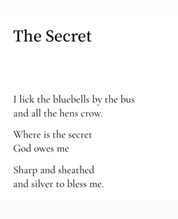 The Secret, by Terry Nguyen 