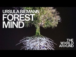 Ursula Biemann presents Forest Mind | The World Around Summit 2022
