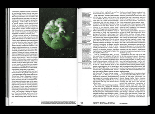 15-migrant-journal-editorial-design-book-magazine-design-bpo.jpg