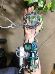 White skinned arm with visible circuitry connected to leaf

Collins and Goto Studio
Hakoto | Speaking Leaf

https://collinsandgoto.com/