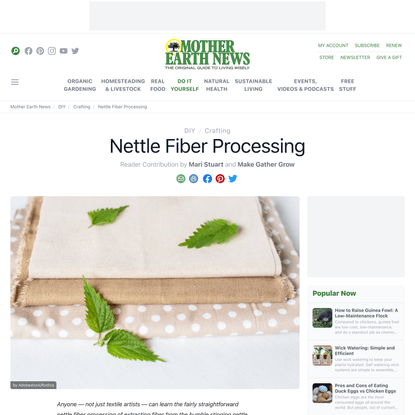 Nettle Fiber Processing – Mother Earth News
