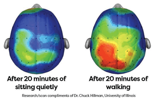 sitting vs walking brain activity