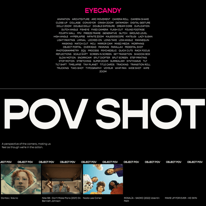 POV (Point of View) Shot