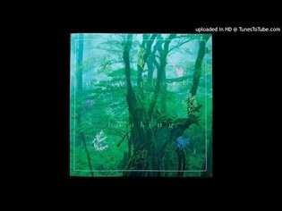 Dream Dolphin - 竹の道