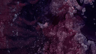 screen-shot-2021-02-26-at-2.03.05-pm.png