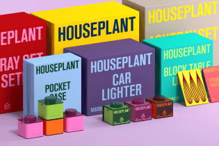 houseplant-1-bc9e4.webp