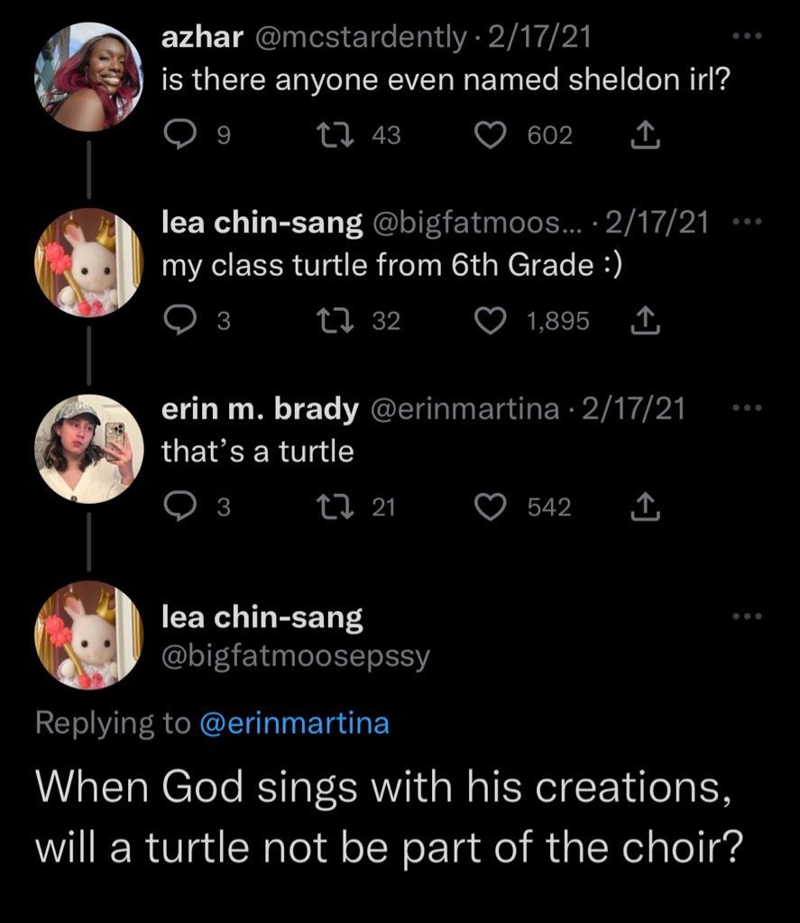 will a turtle not be a part of the choir?