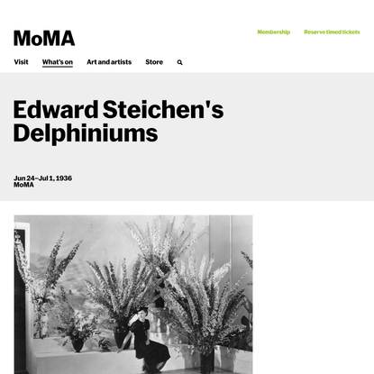 Edward Steichen’s Delphiniums | MoMA