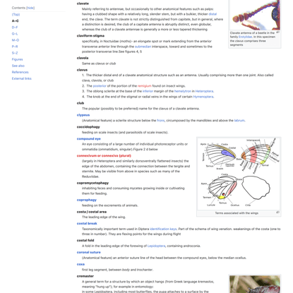 Glossary of entomology terms - Wikipedia