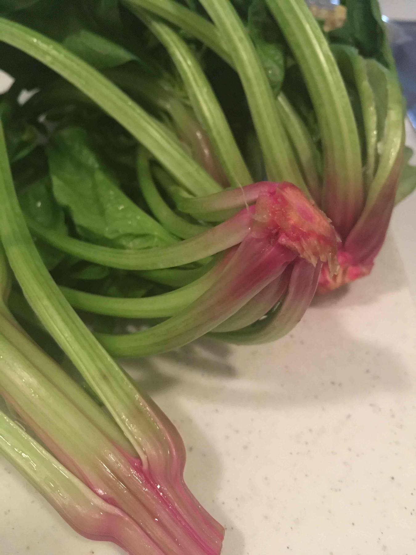 Pink spinach tips