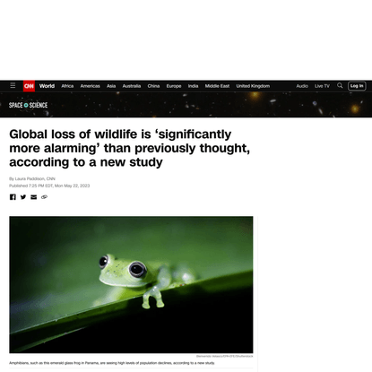 Global loss of wildlife is ‘significantly more alarming’ than previously thought, according to a new study | CNN