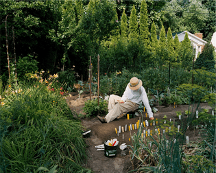 image-636.jpg