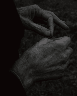 maxf-lix_thierrythevenin.jpg