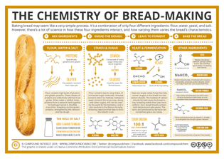 the-chemistry-of-bread-making.png?ssl=1