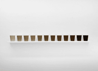 Allan Wexler - Coffee Colored Paper Coffee Cups, 2020