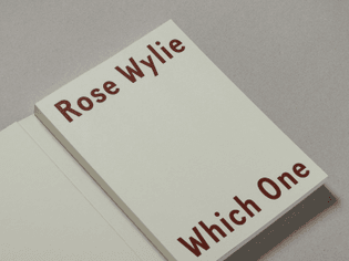 3_apfel_david-zwirner-books_rose-wylie-which-one-1.jpg