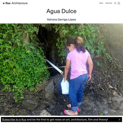 Liquid Utility - Adriana Garriga-López - Agua Dulce