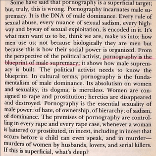 from: "pornography: men possesing women" by Andrea Dworkin